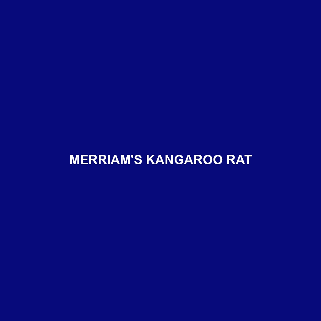 Merriam's Kangaroo Rat