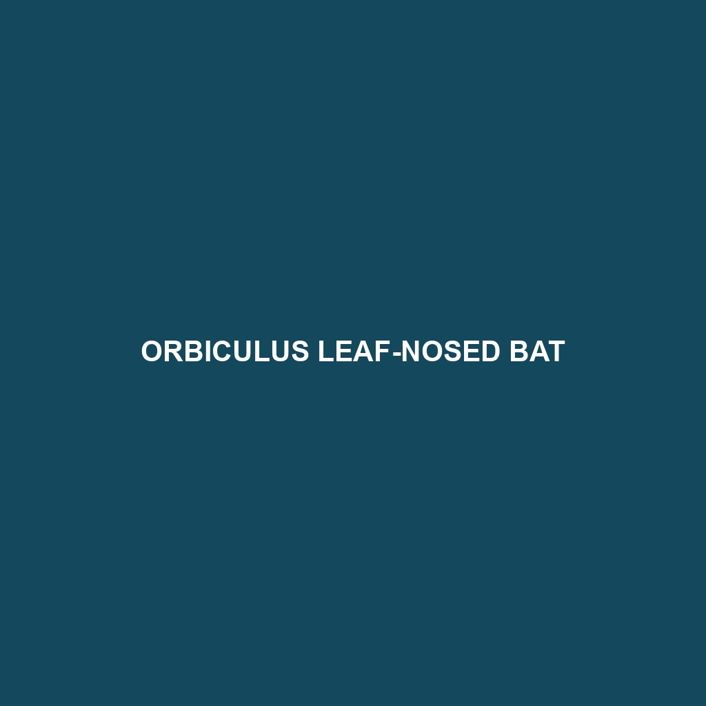 Orbiculus Leaf-nosed Bat