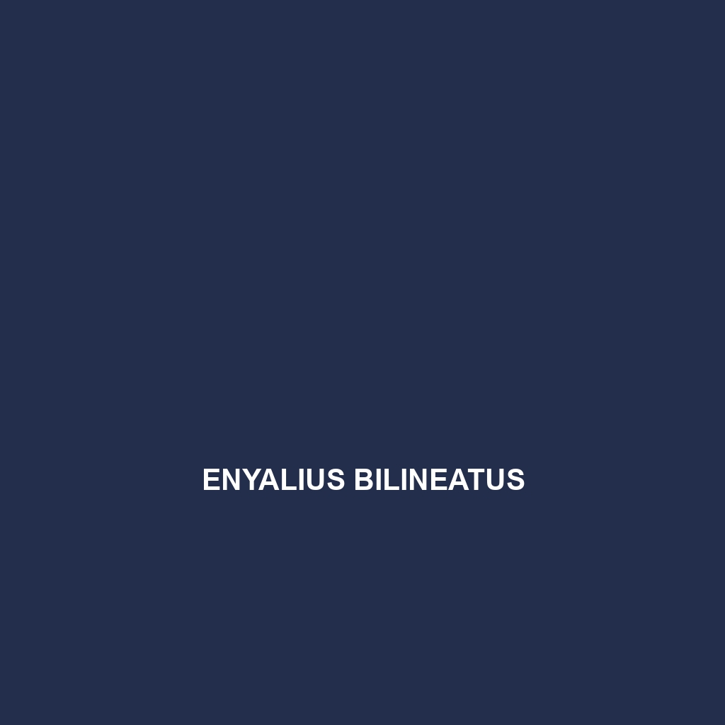 Enyalius bilineatus