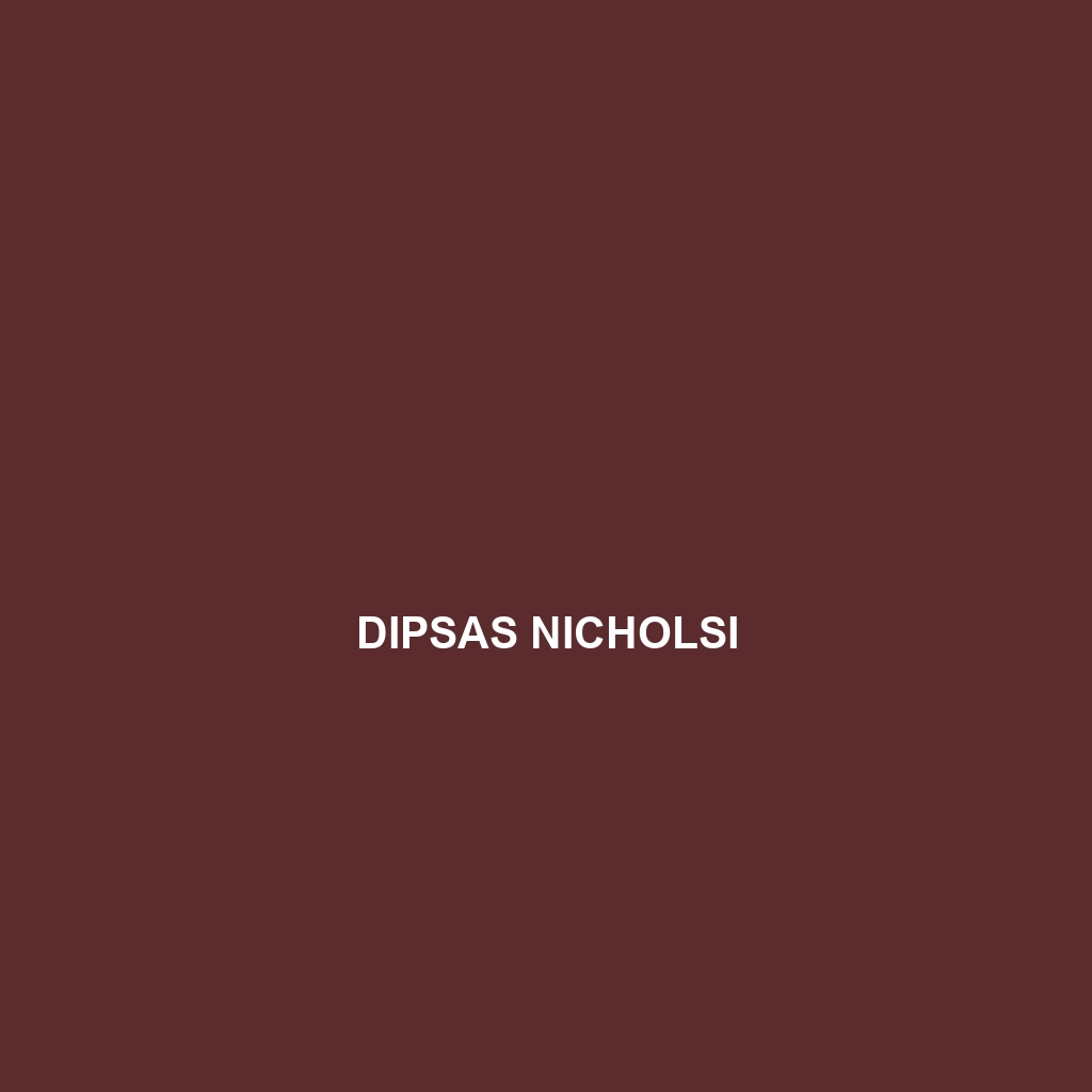 Dipsas nicholsi