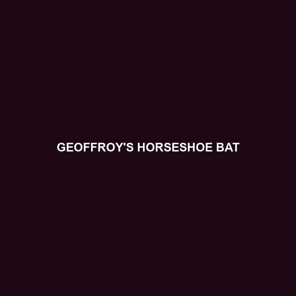 Geoffroy's Horseshoe Bat