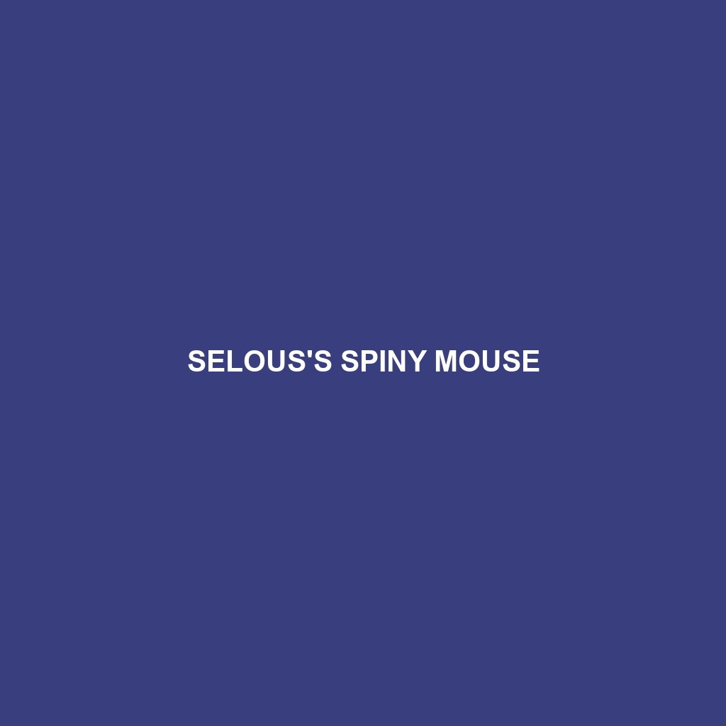 Selous's Spiny Mouse