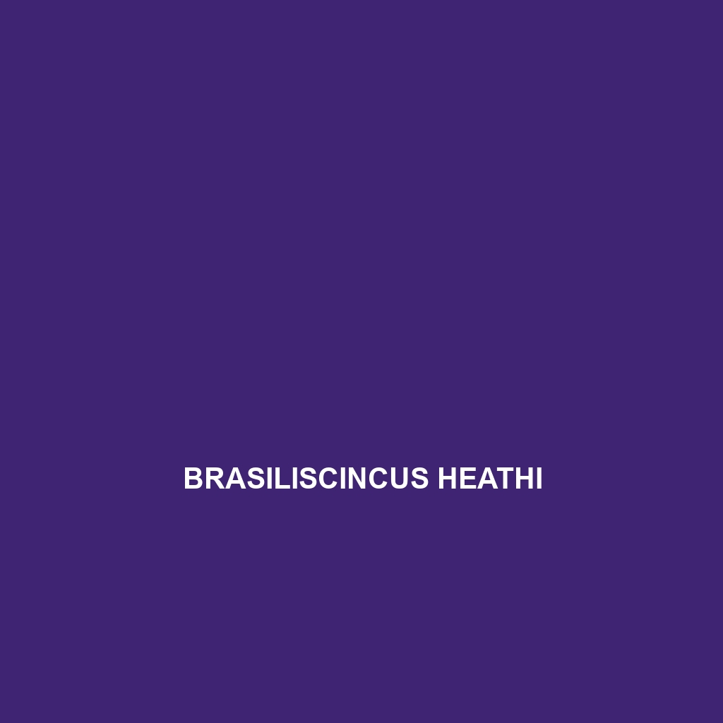 Brasiliscincus heathi