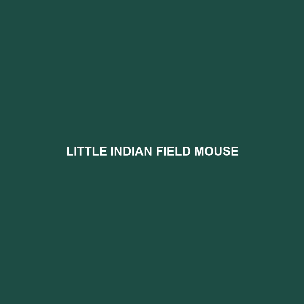 Little Indian Field Mouse