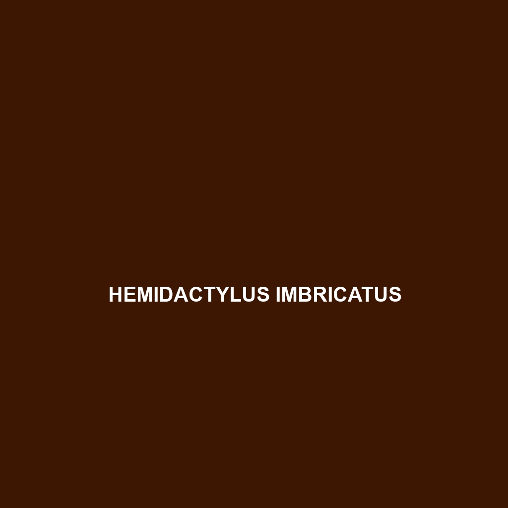 Hemidactylus imbricatus