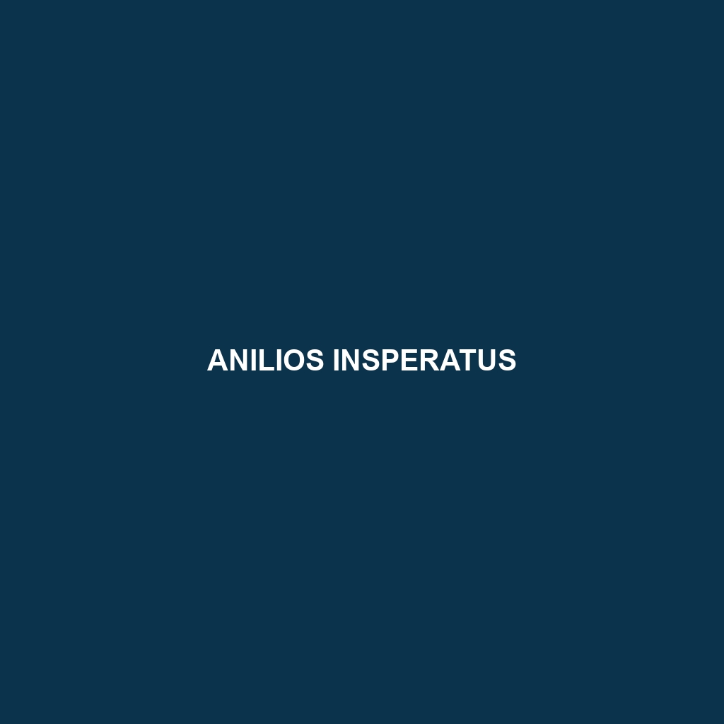 Anilios insperatus