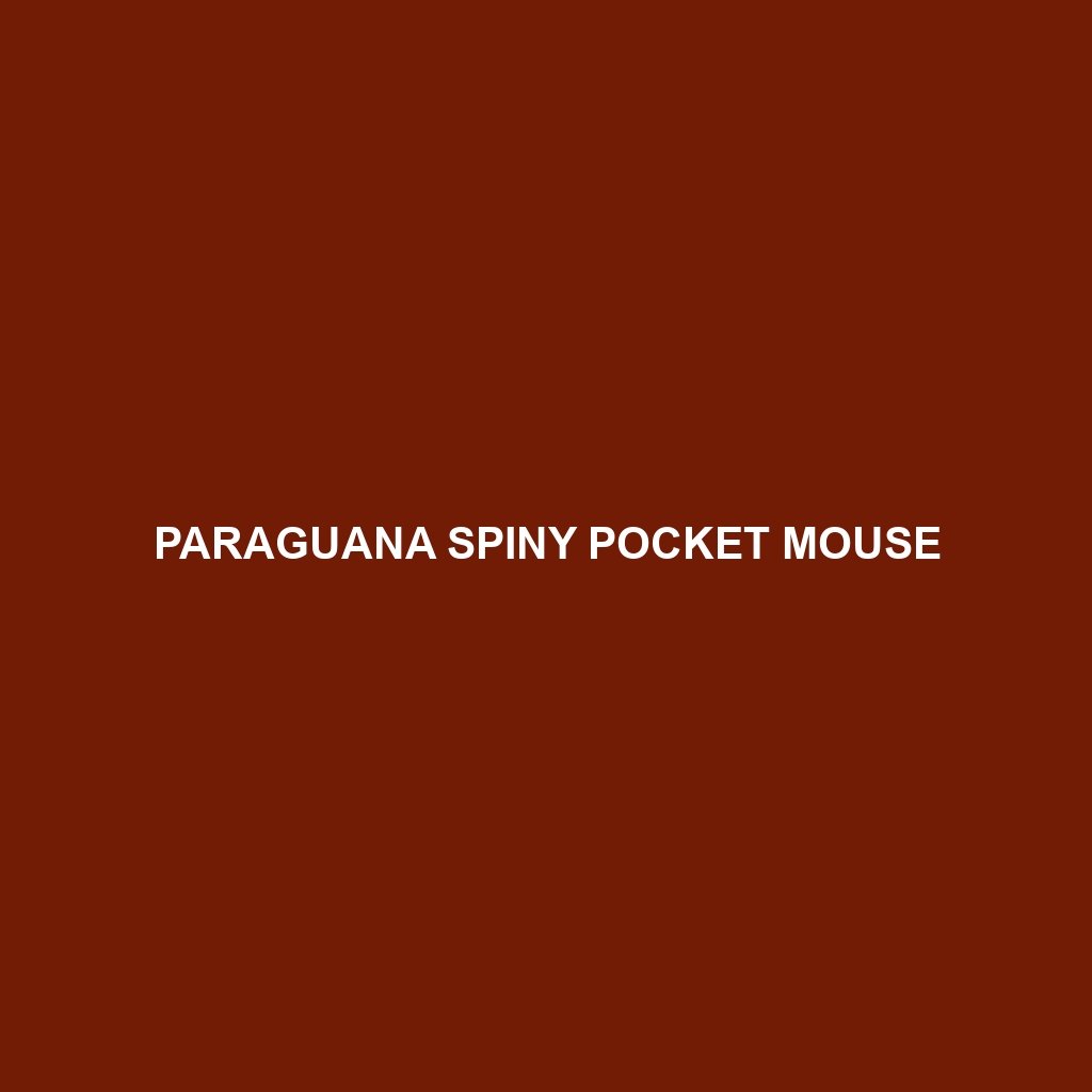 Paraguana Spiny Pocket Mouse