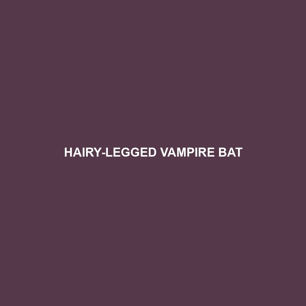 Hairy-legged Vampire Bat