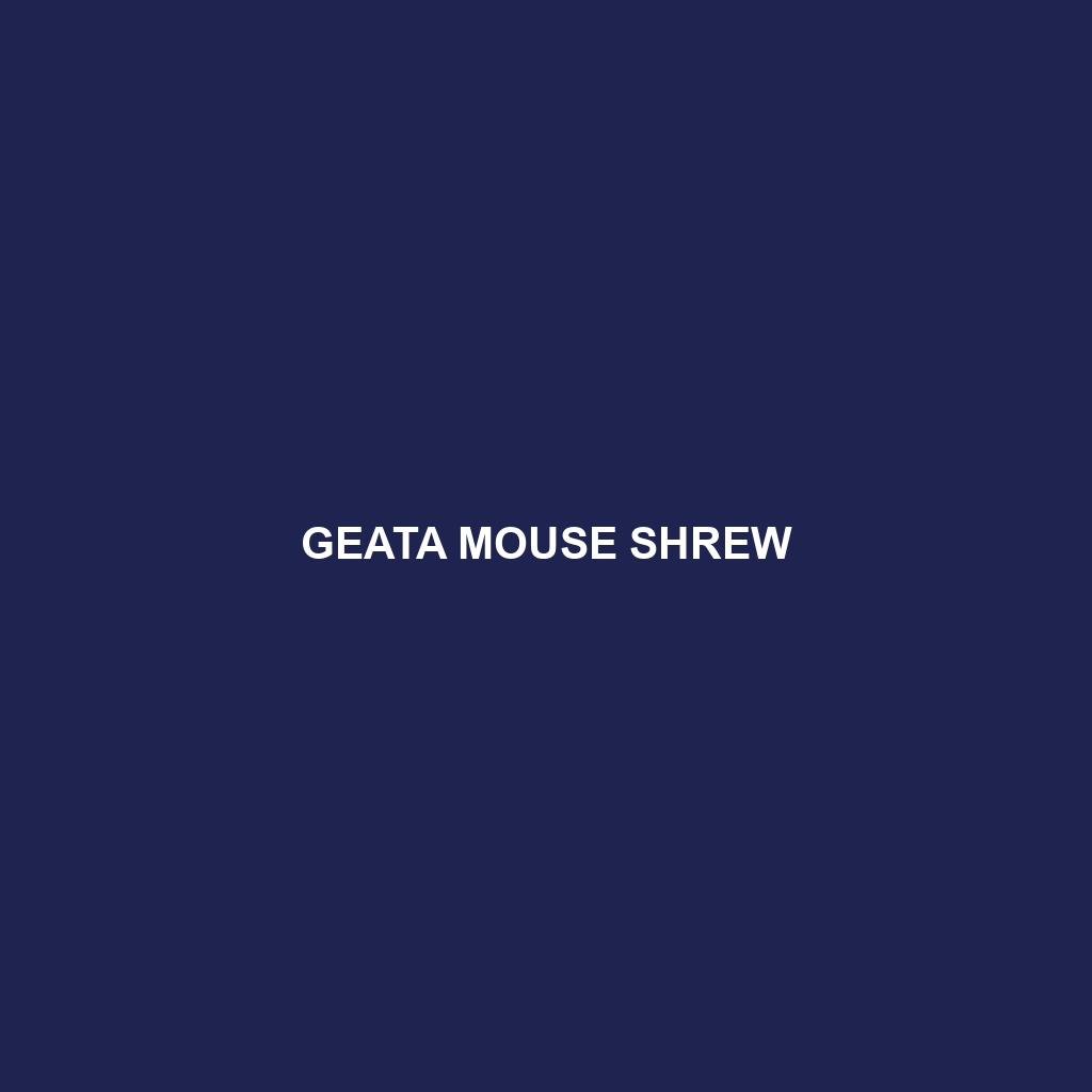 Geata Mouse Shrew