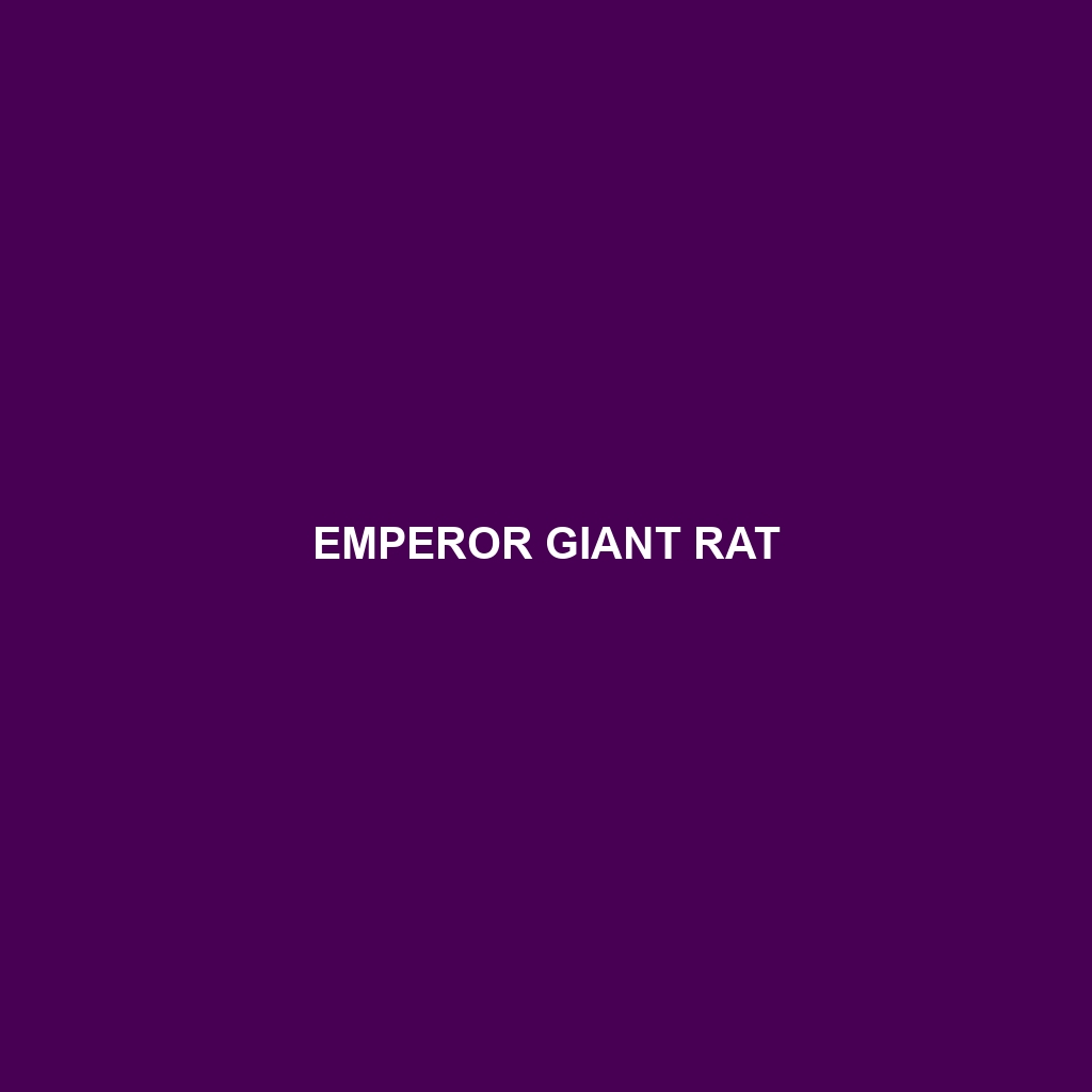 Emperor Giant Rat