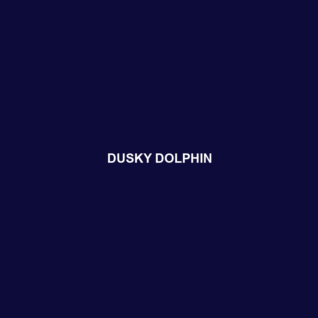 Dusky Dolphin