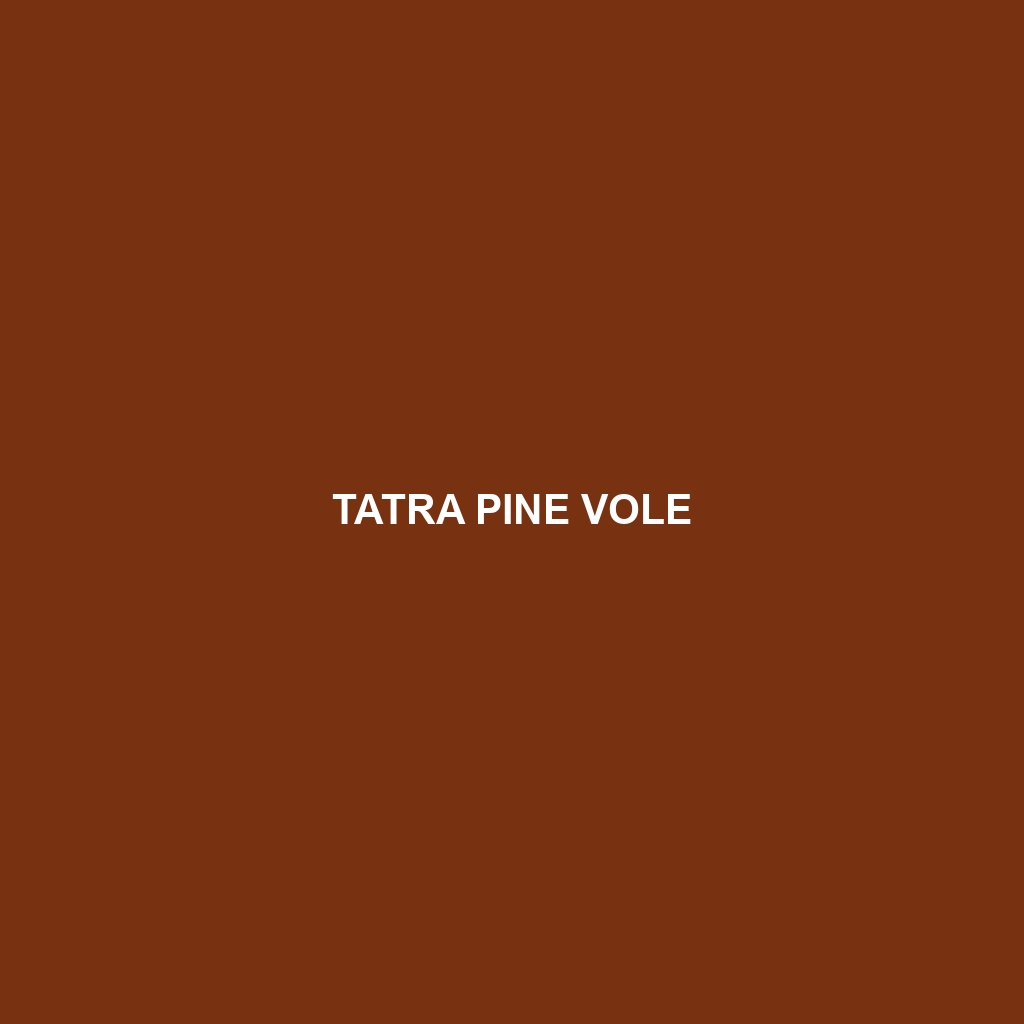 Tatra Pine Vole