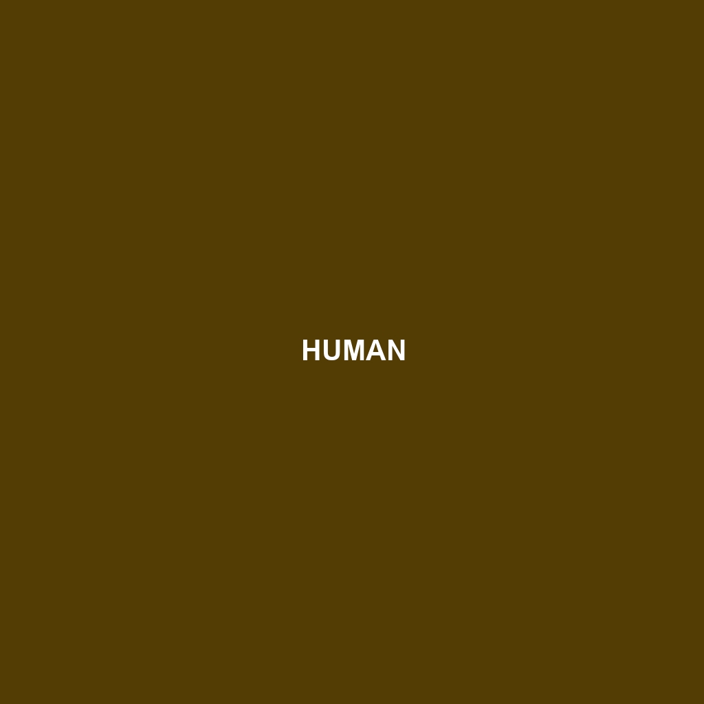 Human