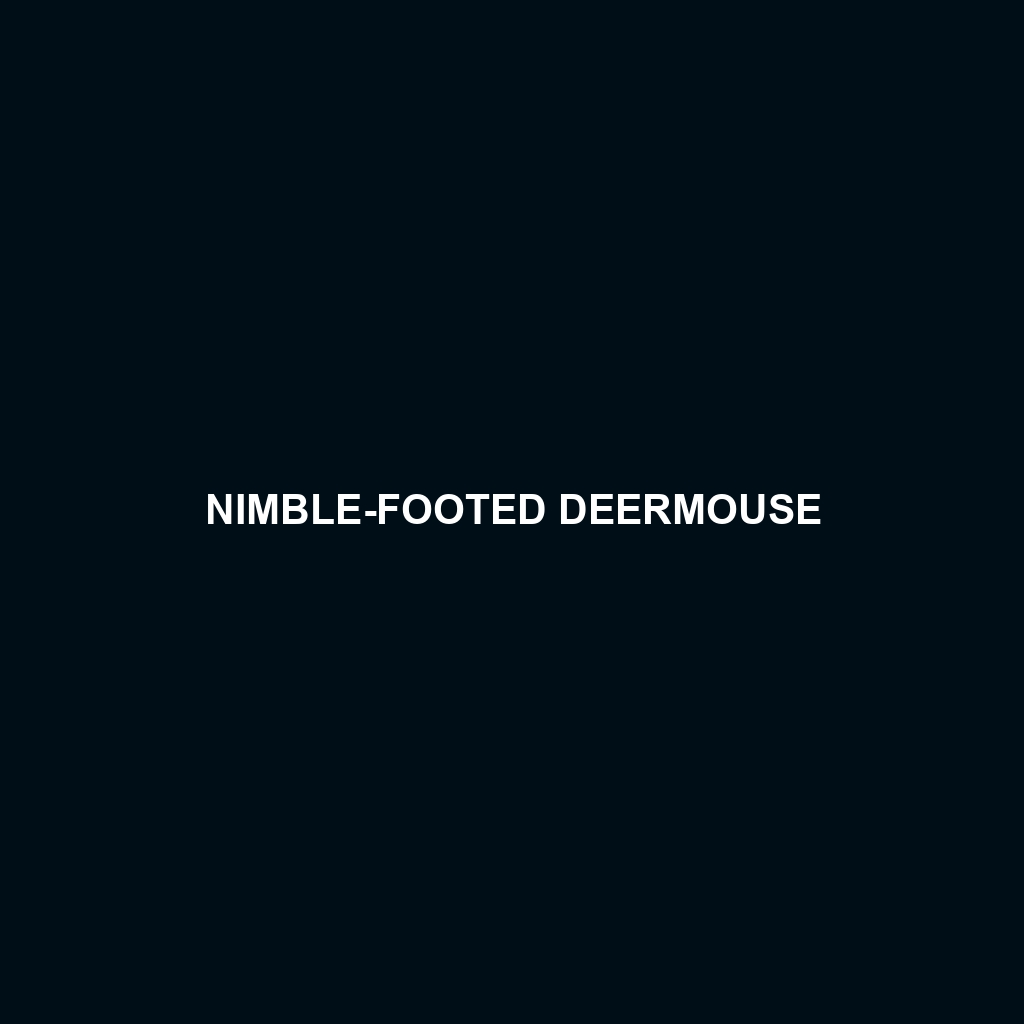 Nimble-footed Deermouse