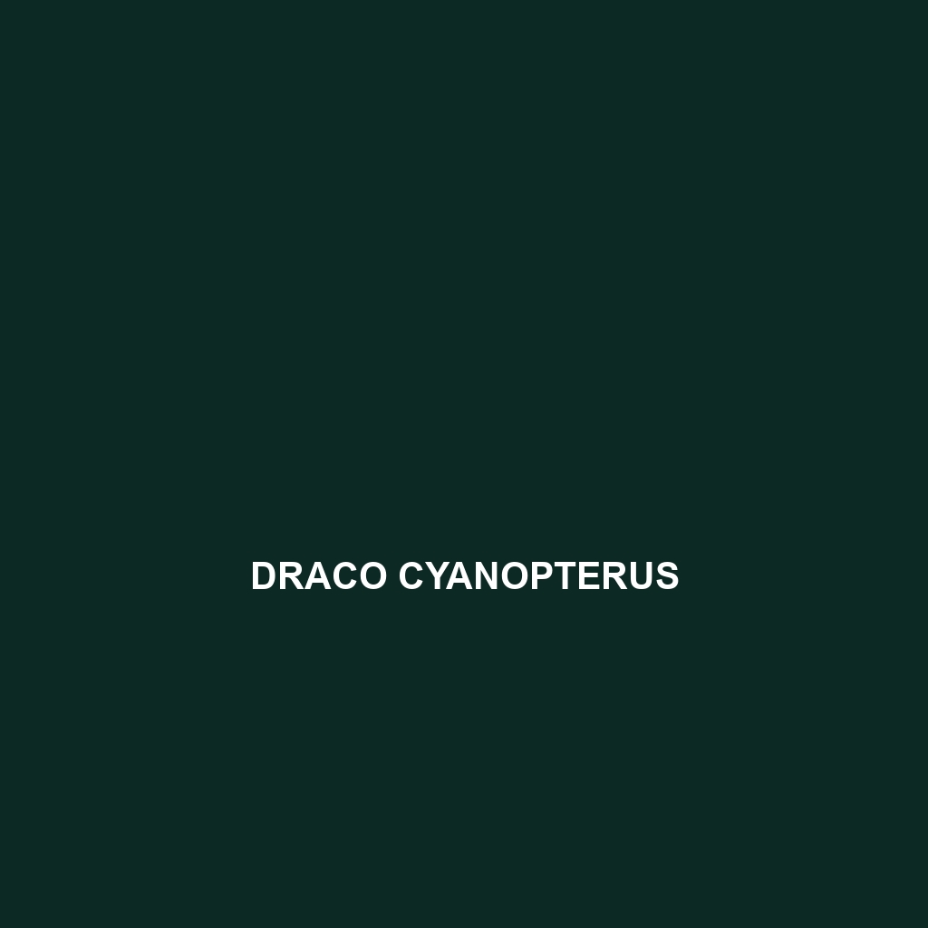 Draco cyanopterus