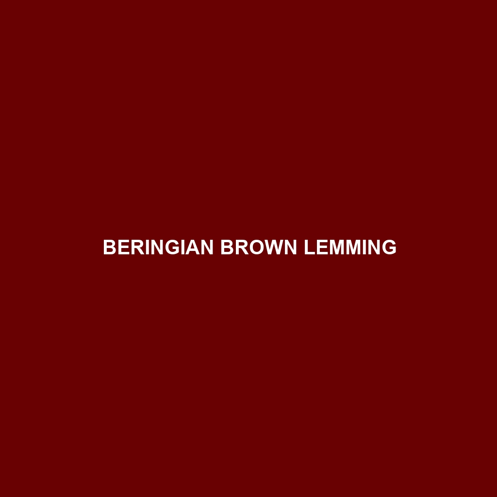 Beringian Brown Lemming