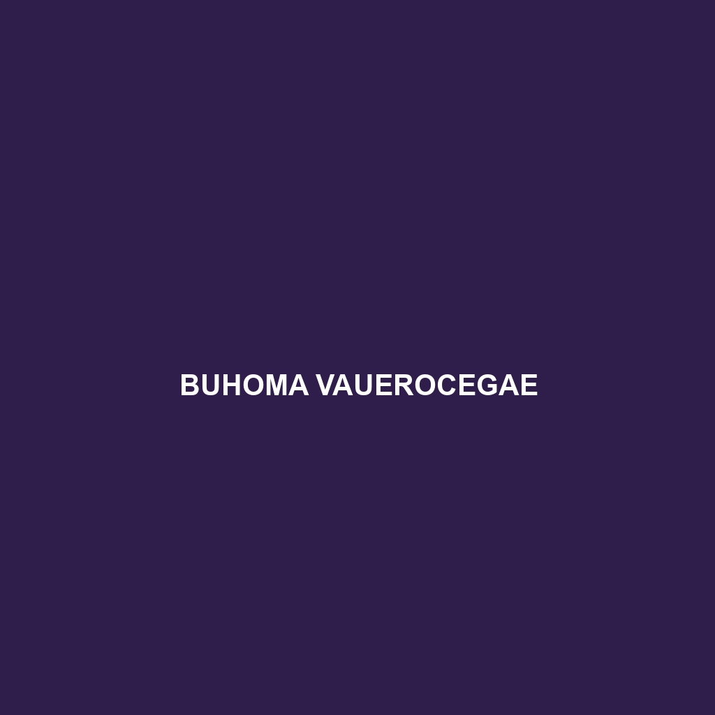 Buhoma vauerocegae