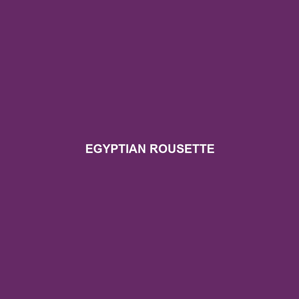 Egyptian Rousette