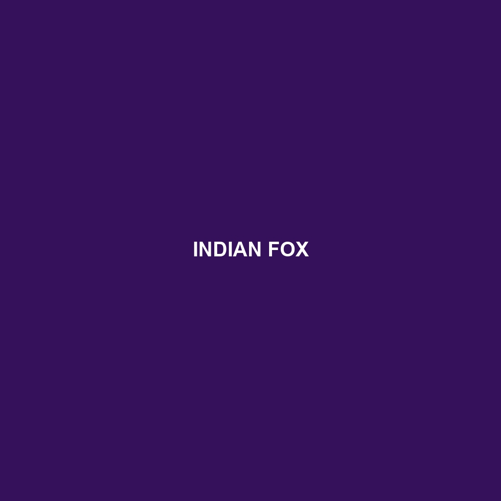 Indian Fox