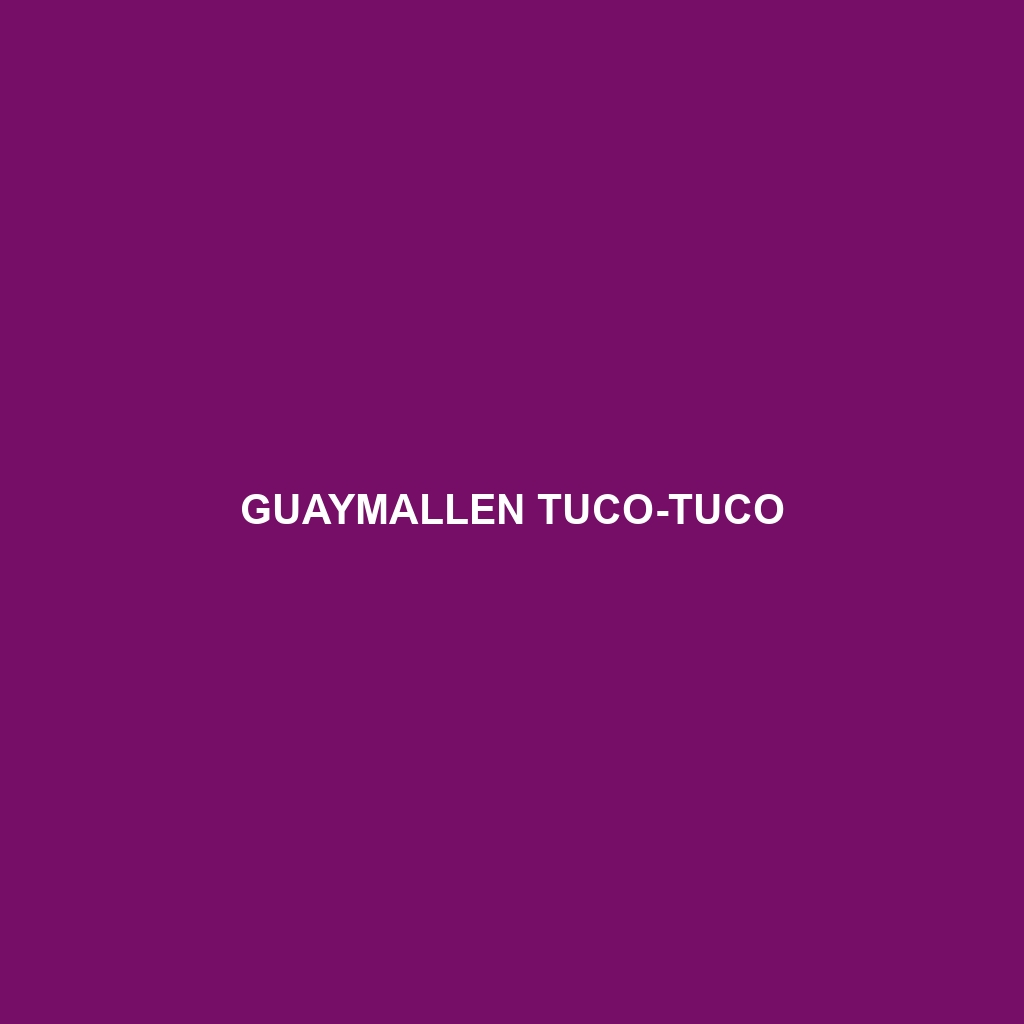 Guaymallen Tuco-tuco