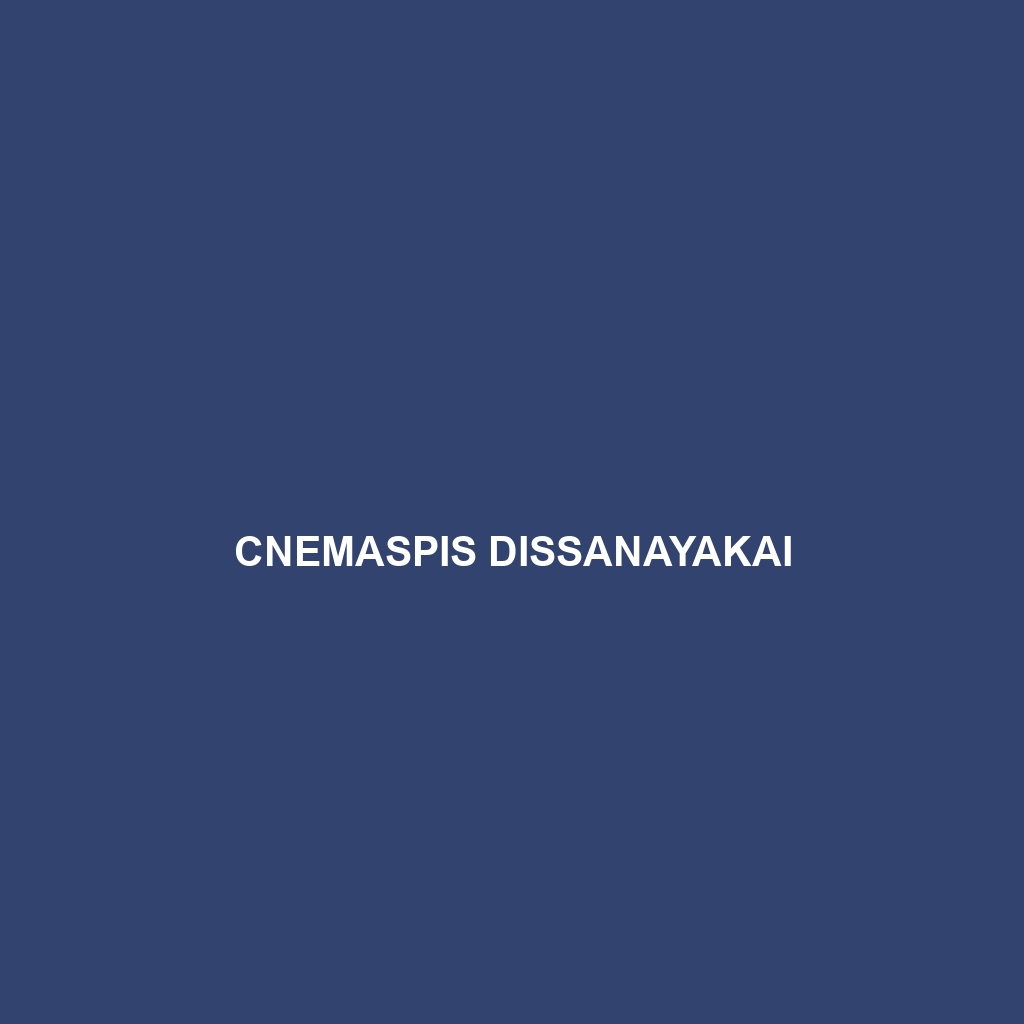 Cnemaspis dissanayakai