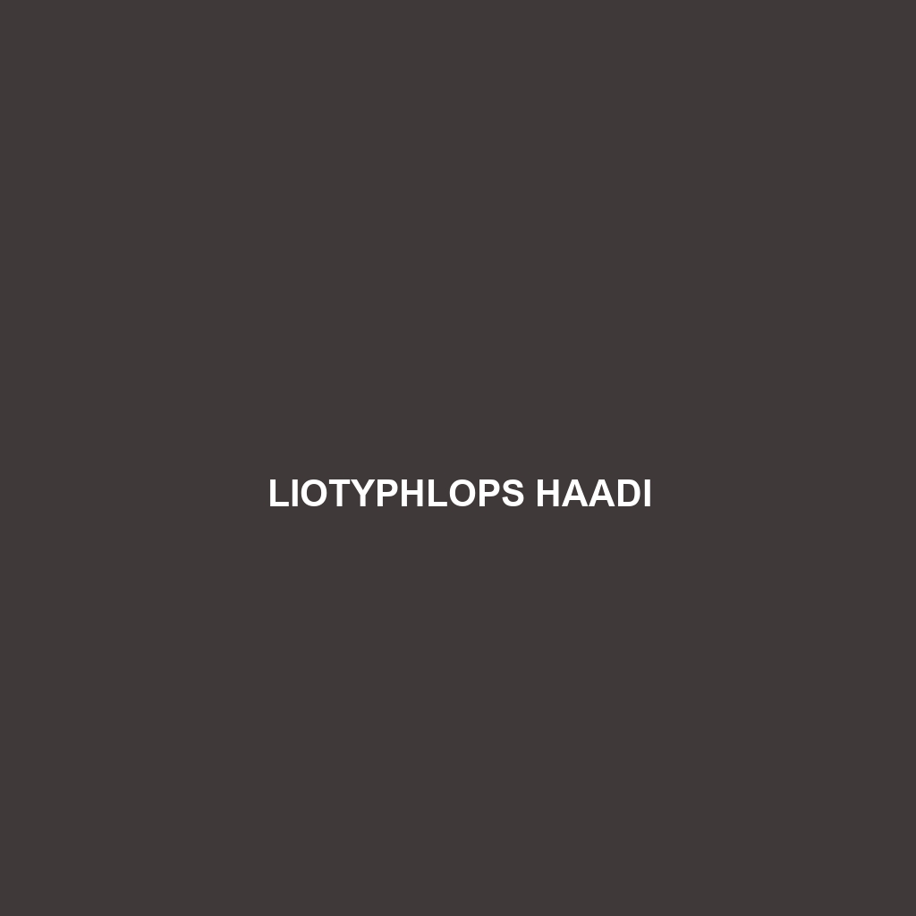 Liotyphlops haadi