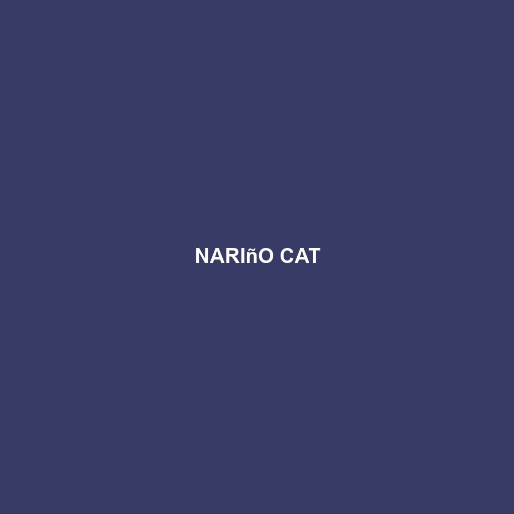 Nariño Cat