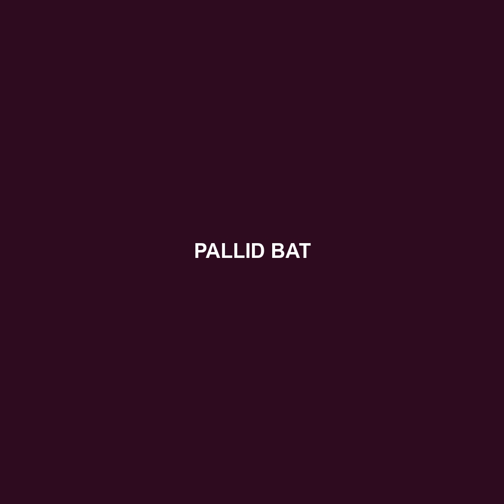 Pallid Bat