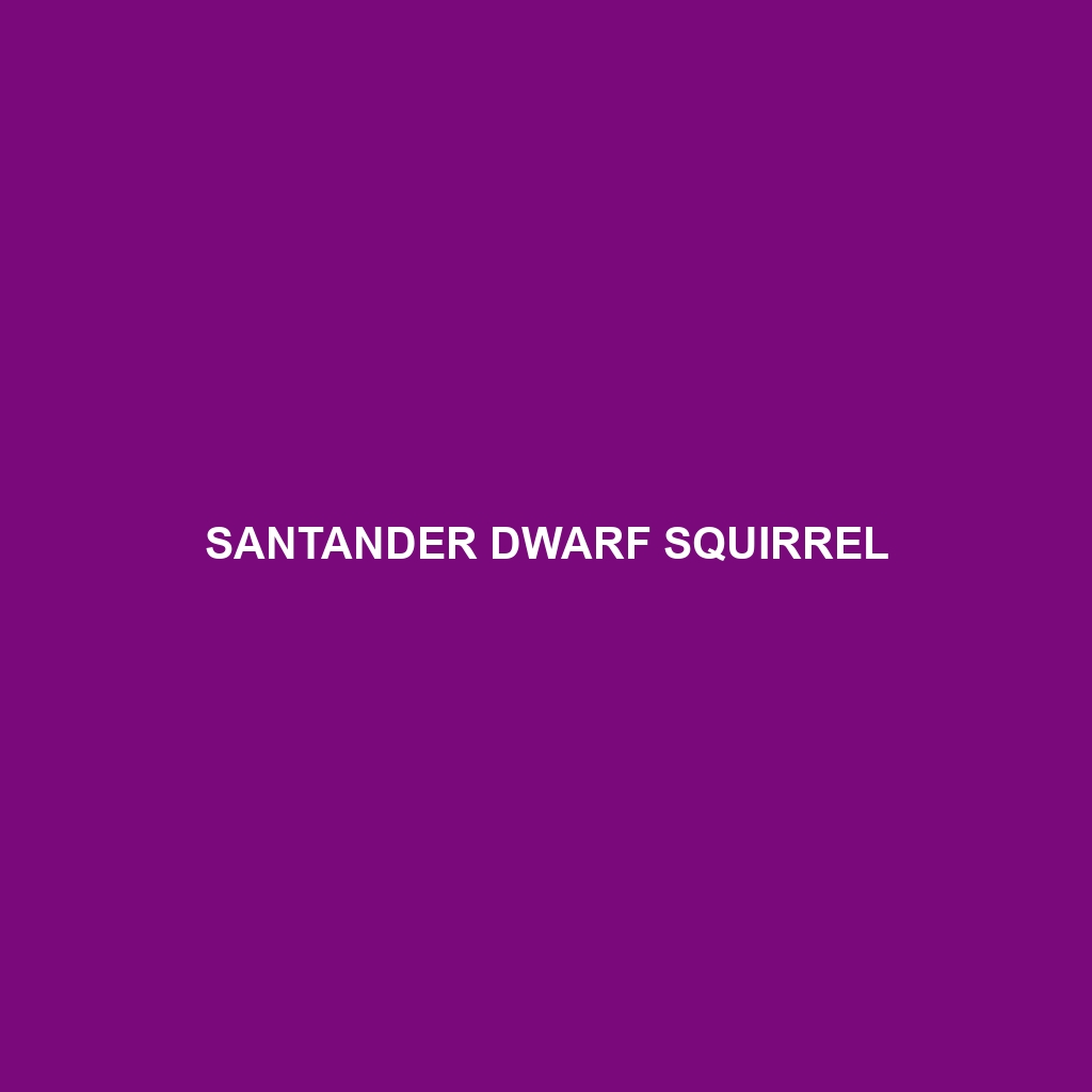 Santander Dwarf Squirrel