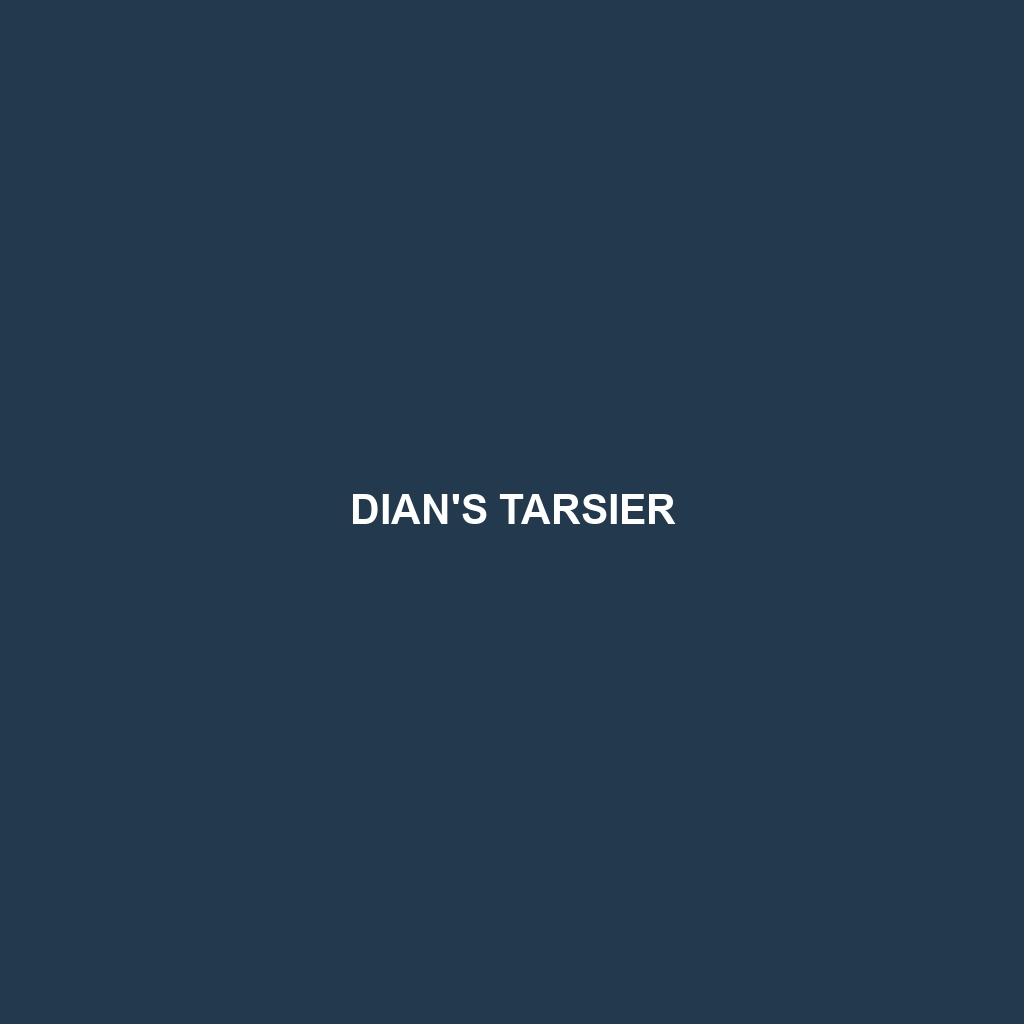 Dian's Tarsier