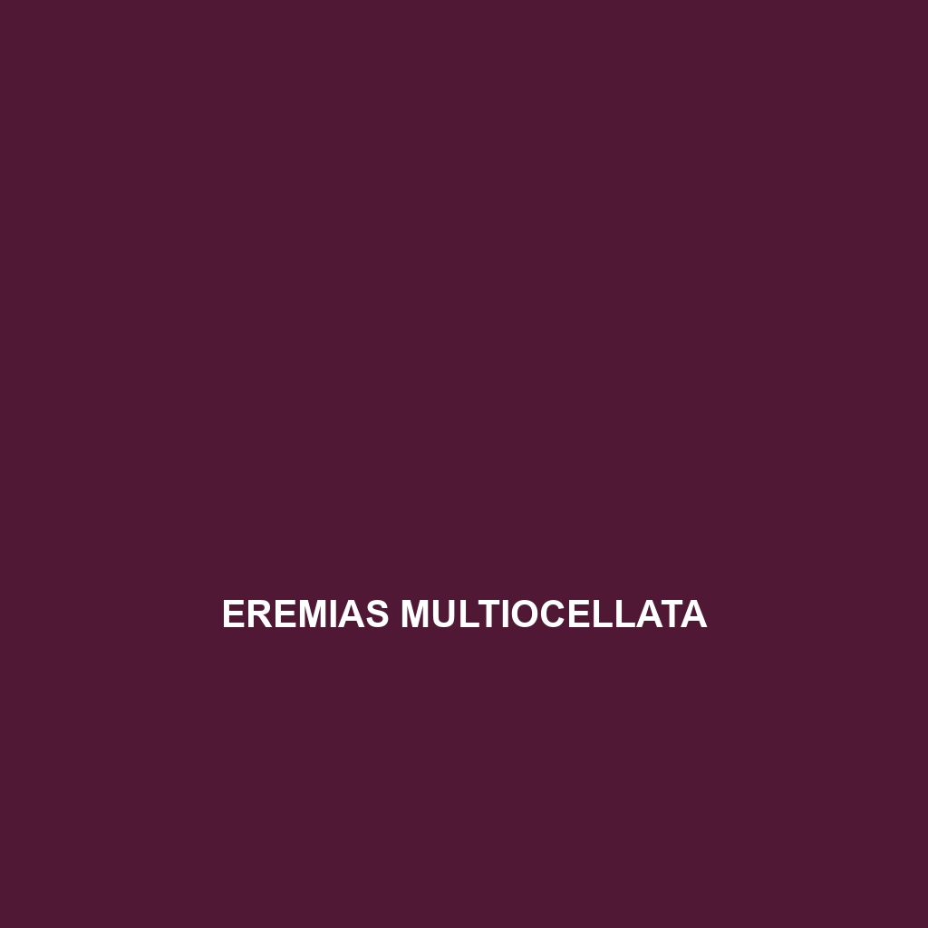 Eremias multiocellata