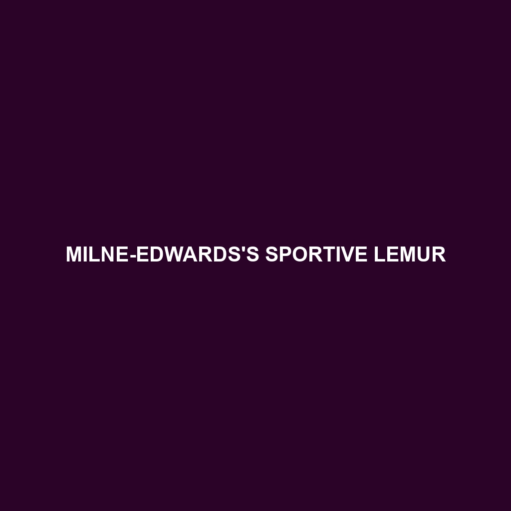 Milne-Edwards's Sportive Lemur