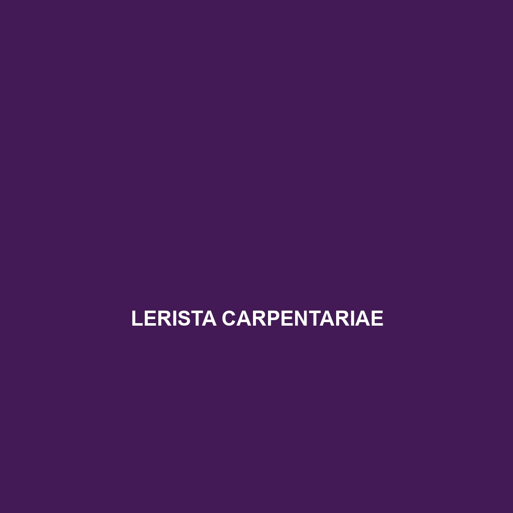 Lerista carpentariae