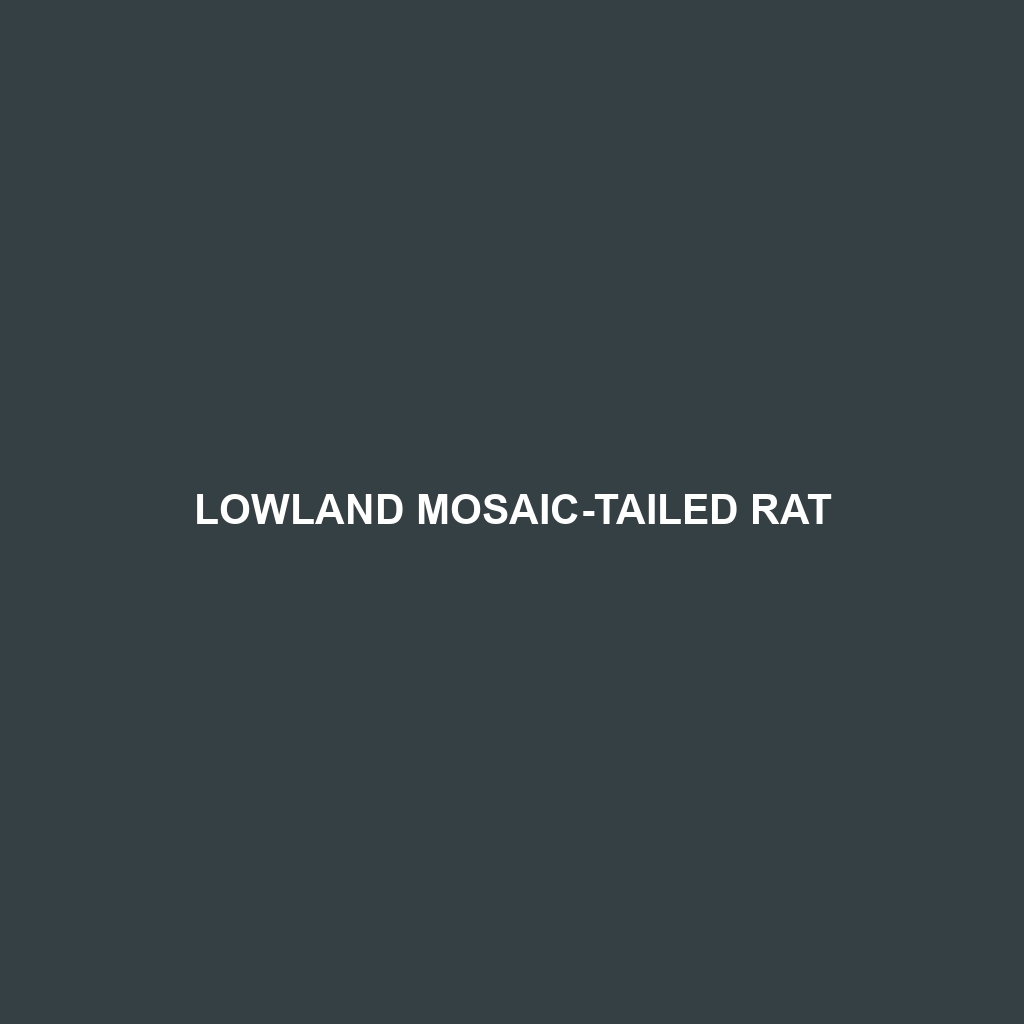 Lowland Mosaic-tailed Rat