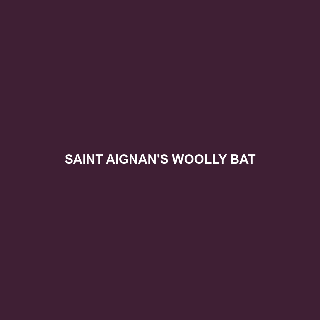 Saint Aignan's Woolly Bat