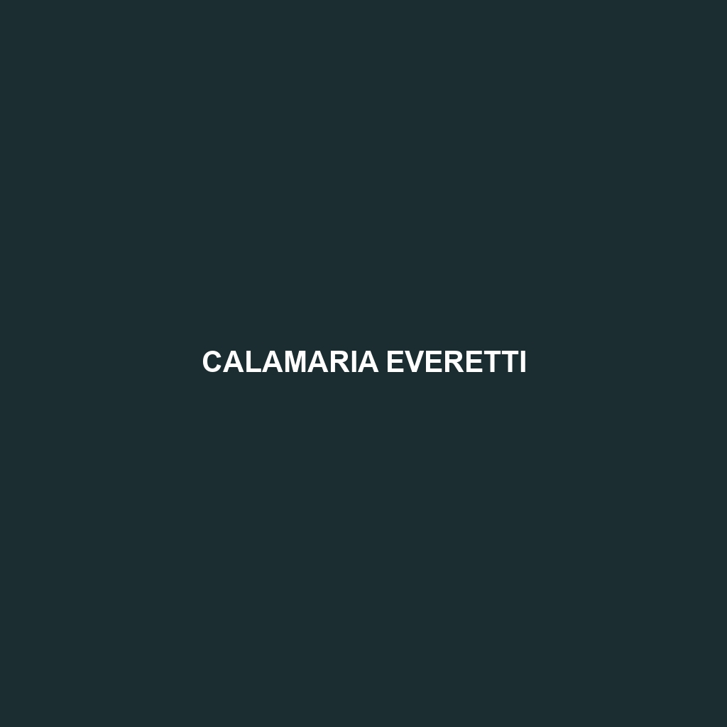 Calamaria everetti