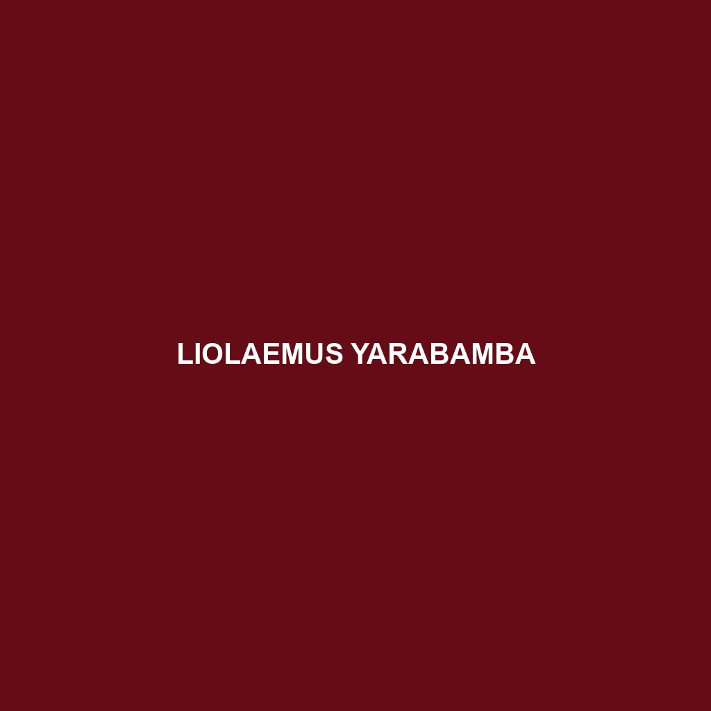 Liolaemus yarabamba