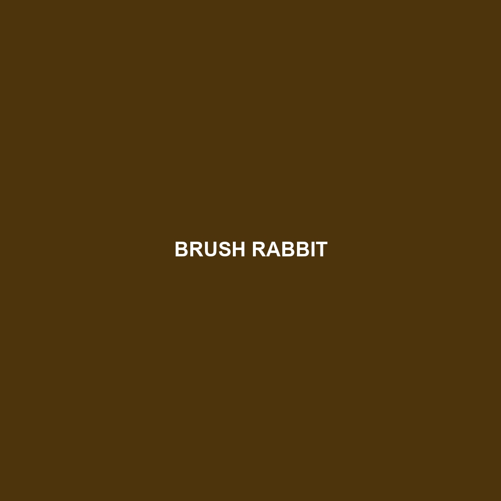 Brush Rabbit