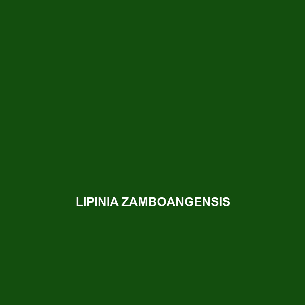 Lipinia zamboangensis