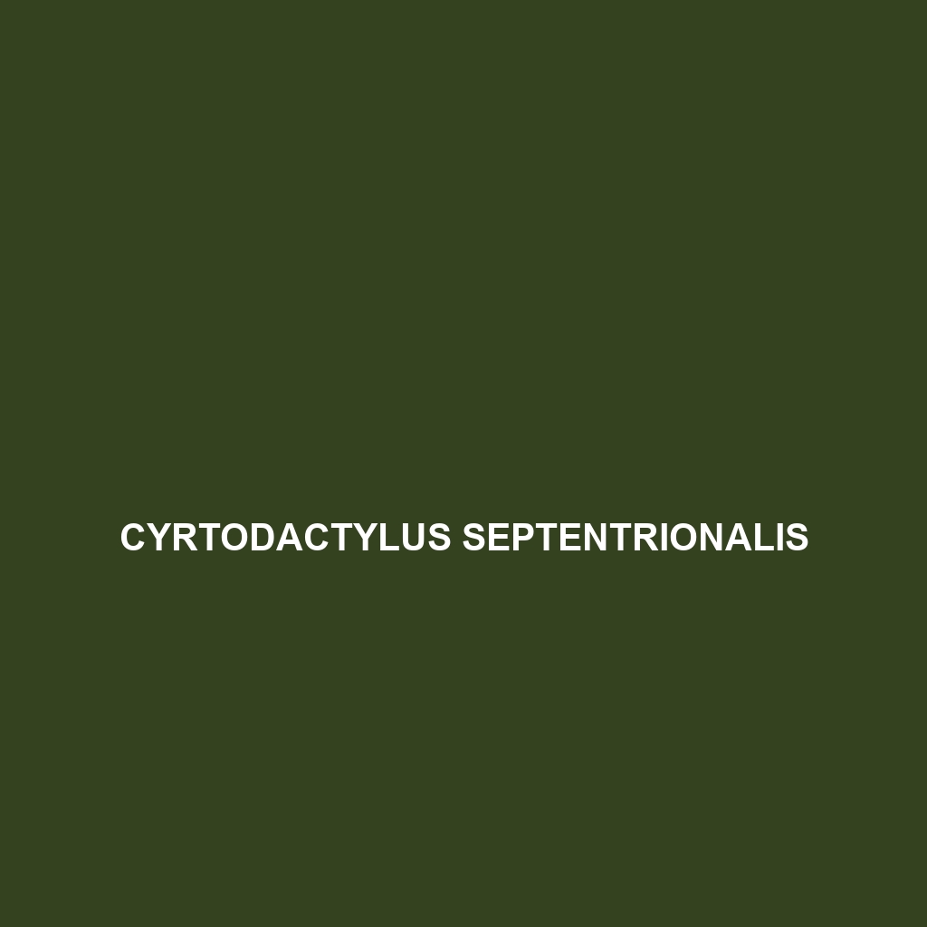 Cyrtodactylus septentrionalis