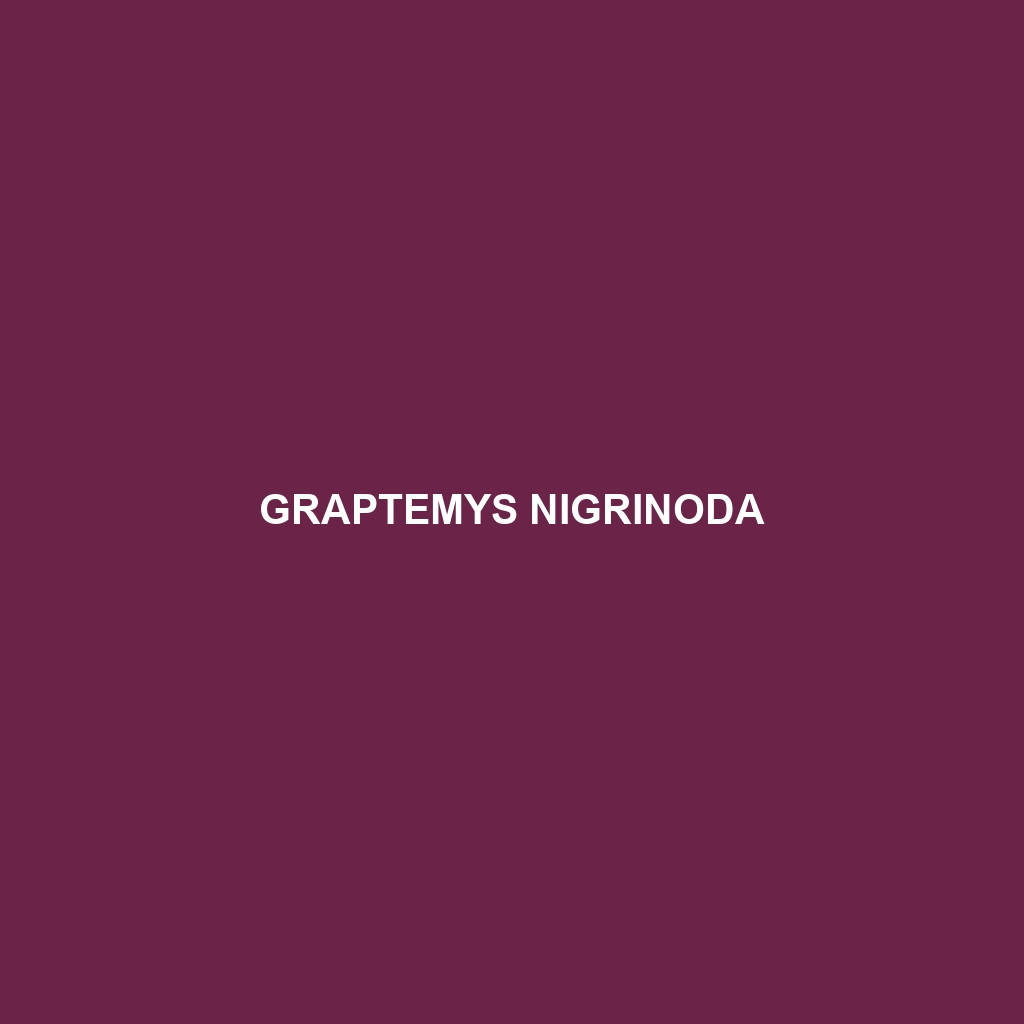 Graptemys nigrinoda