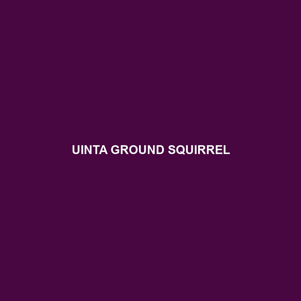 Uinta Ground Squirrel