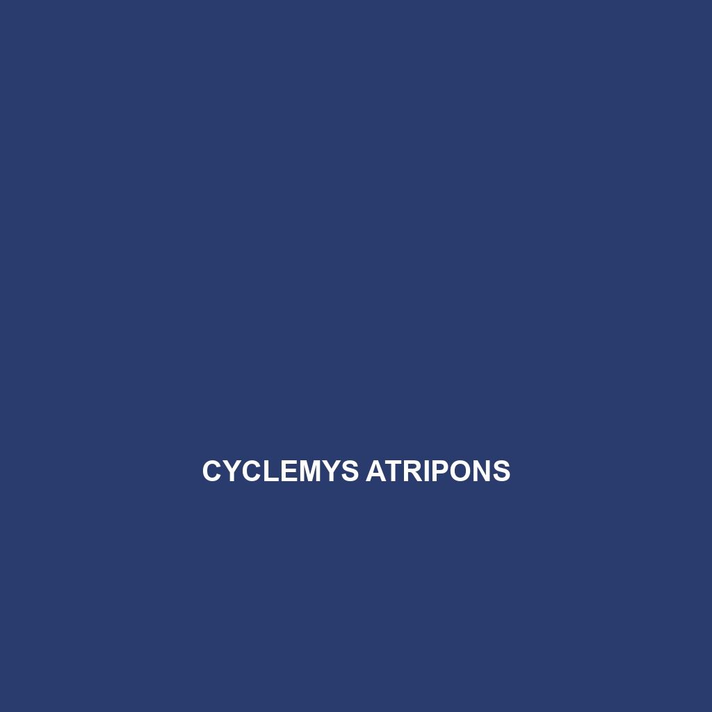 Cyclemys atripons