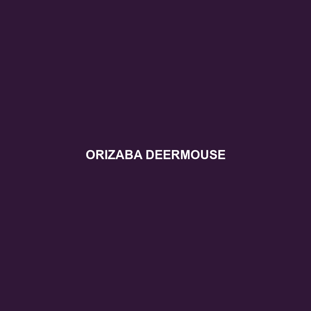 Orizaba Deermouse