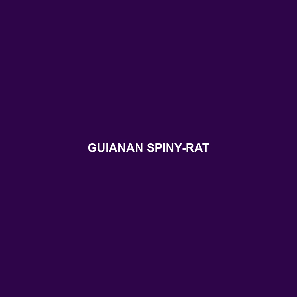 Guianan Spiny-rat