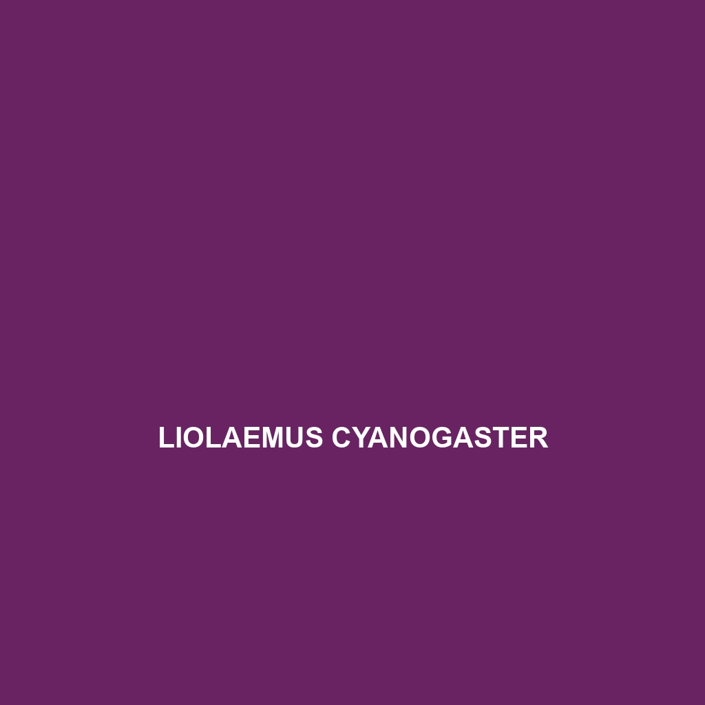 Liolaemus cyanogaster