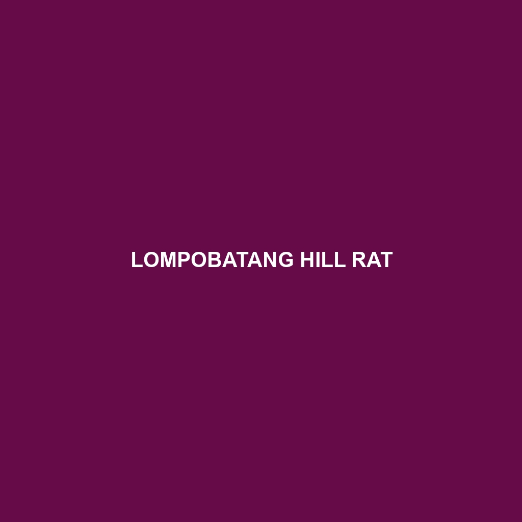 Lompobatang Hill Rat