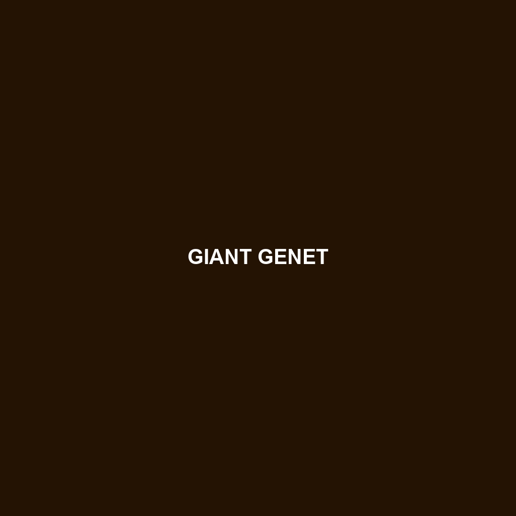 Giant Genet