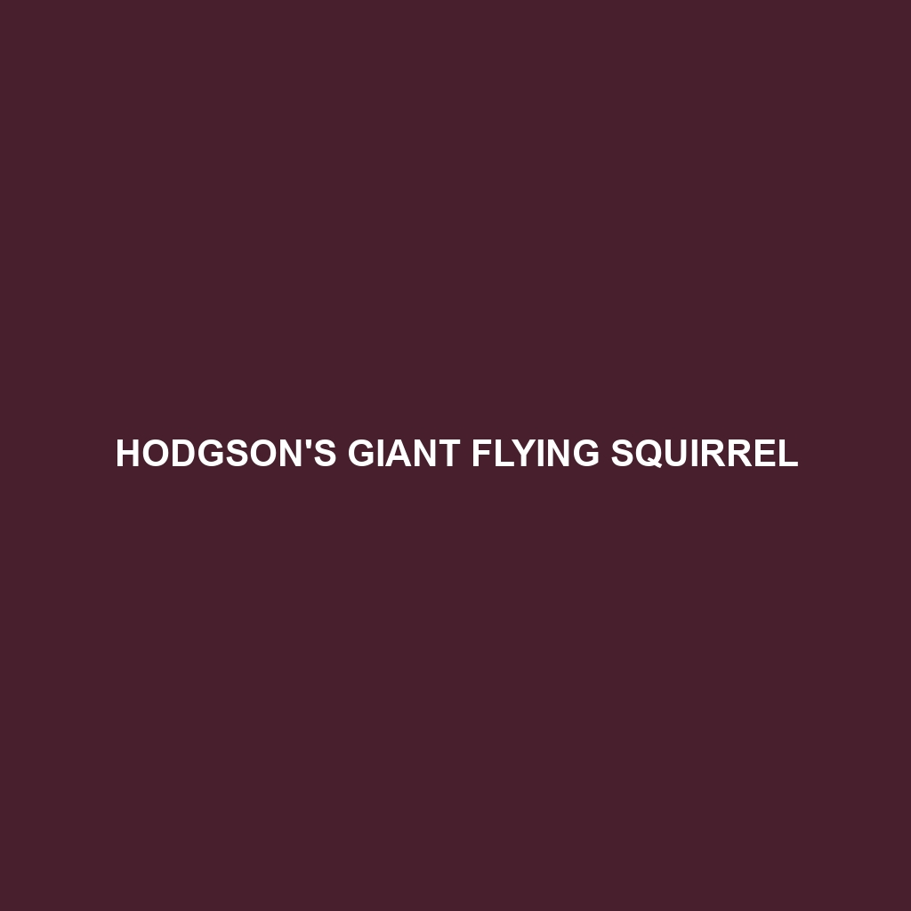 Hodgson's Giant Flying Squirrel