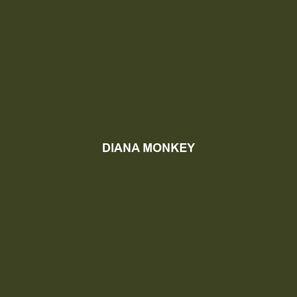 Diana Monkey